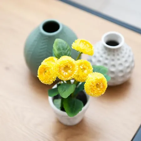 Stylish Apartament